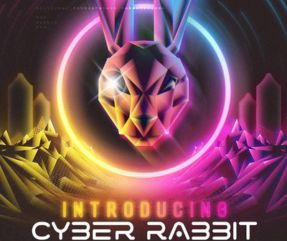 Cyber Rabbit